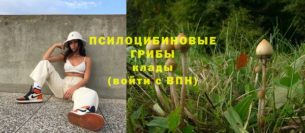 твердый Алзамай