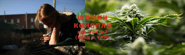 твердый Алзамай