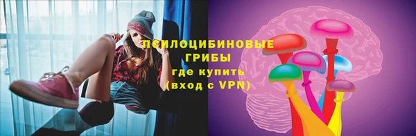 твердый Алзамай