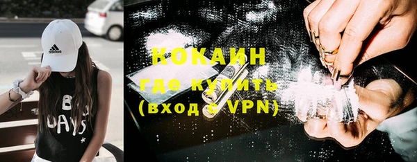 твердый Алзамай
