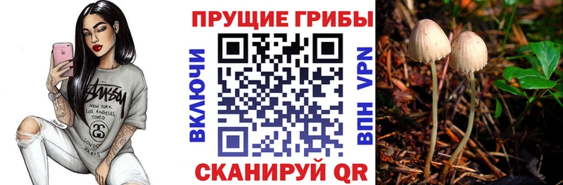 Псилоцибиновые грибы мицелий  Завитинск 
